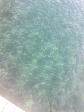 Best Appartament Lux in Vlore